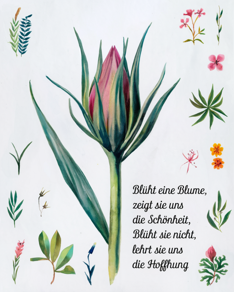 Illustration von verschiedenen Blumen und Blättern.