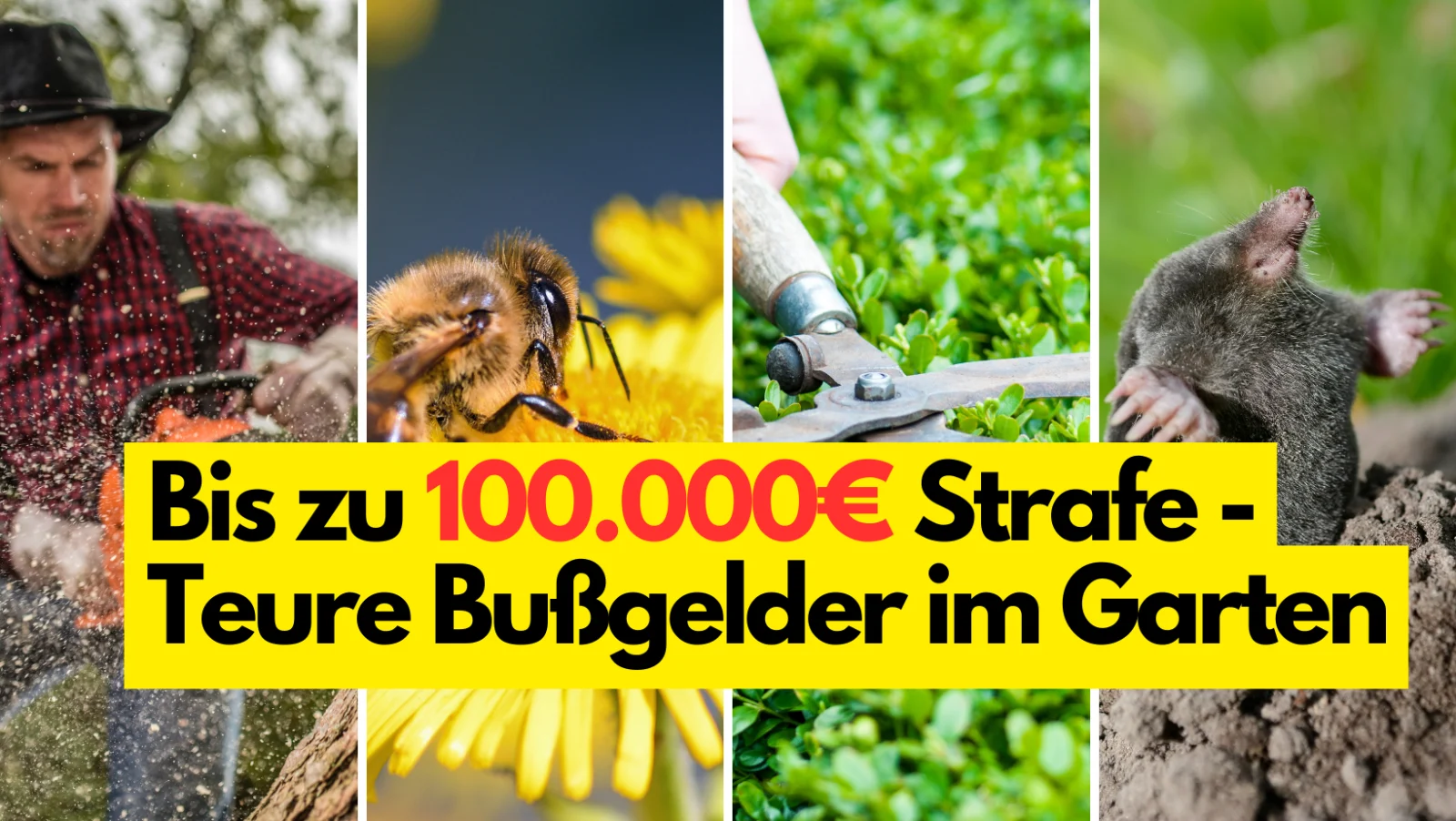 Bußgelder im Garten - 8 teure Vergehen, die bis zu 100.000€ kosten können