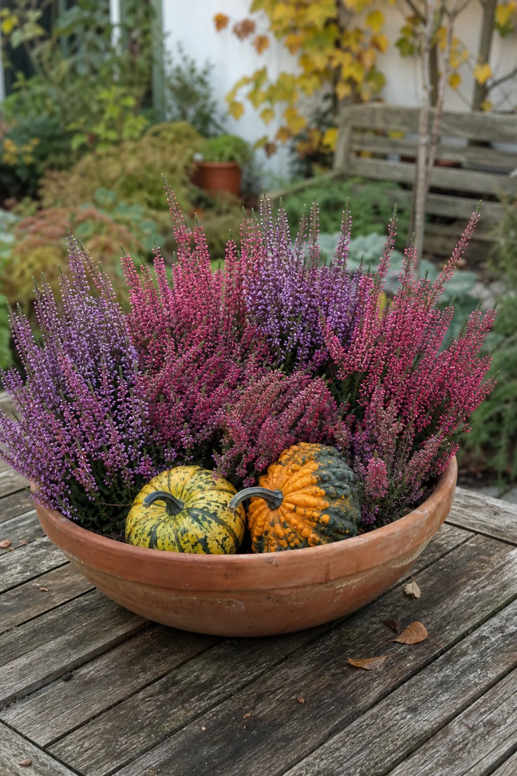 Zwei Terracottaschalen mit violetter und rosa Heide, dazwischen kleine Zierkürbisse, auf einem Holztisch im Garten