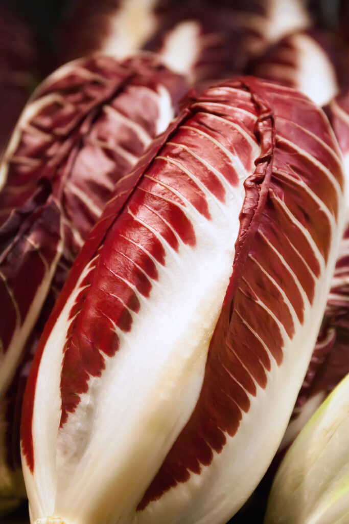 Nahaufnahme von Radicchio-Blättern