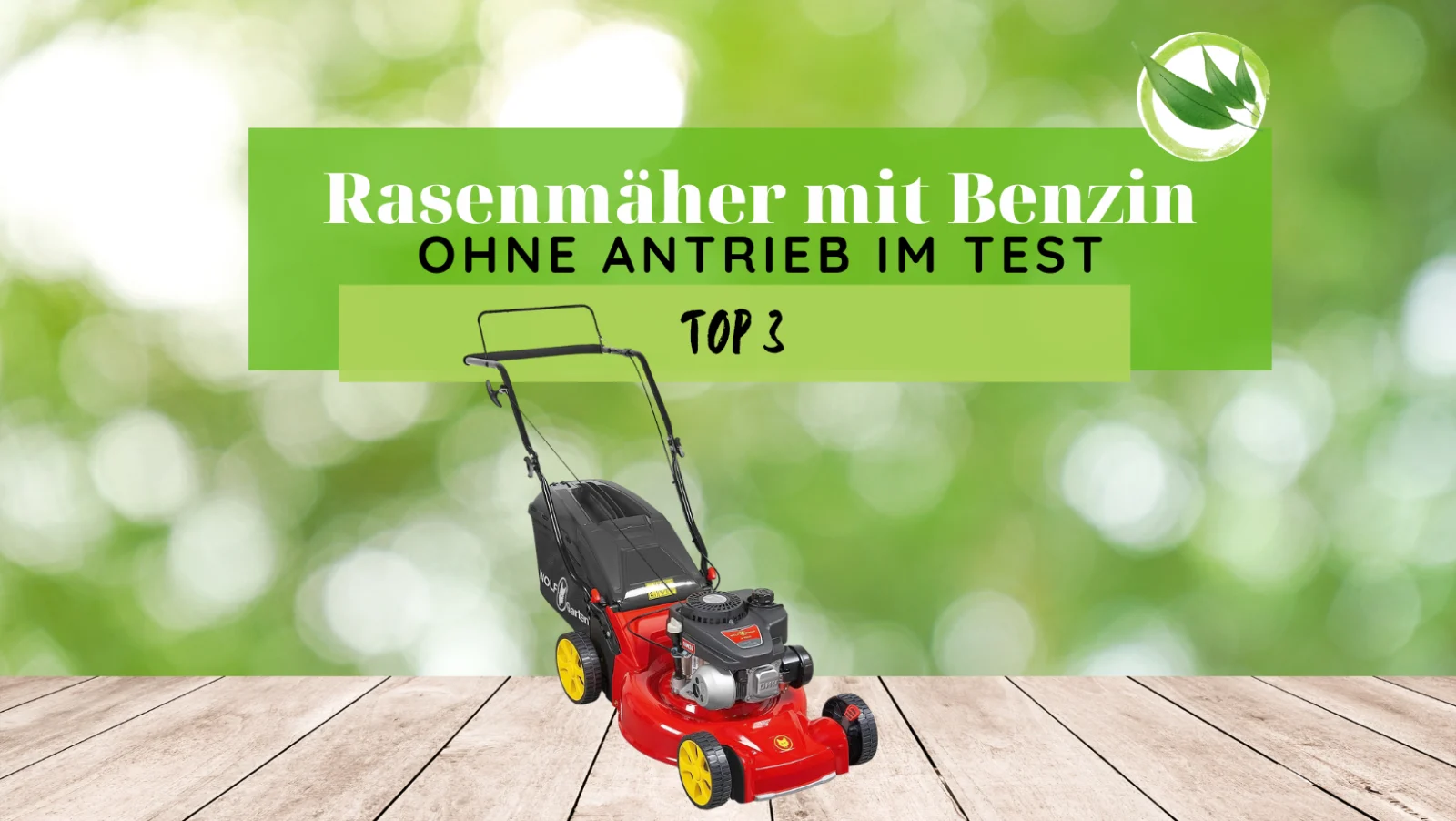 Rasenmäher mit Benzin ohne Antrieb: Die Top 3 im Test