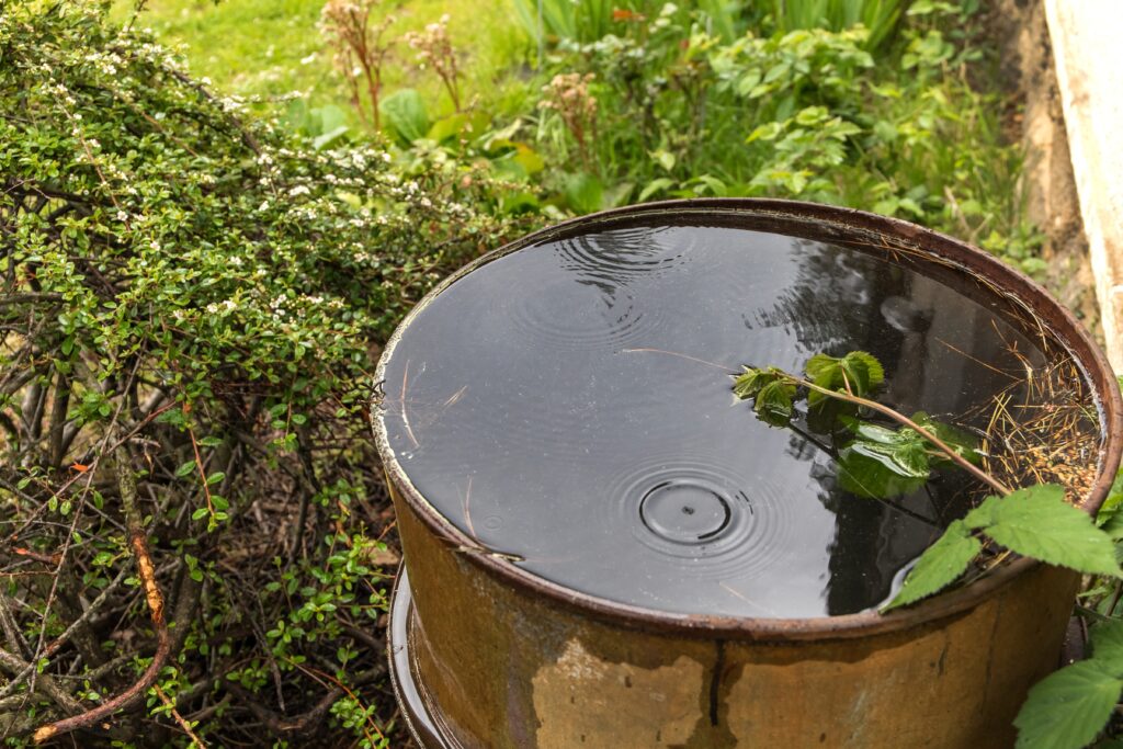 Eine offene Regentonne aus Holz, gefüllt mit klarem Regenwasser, an einer Hauswand