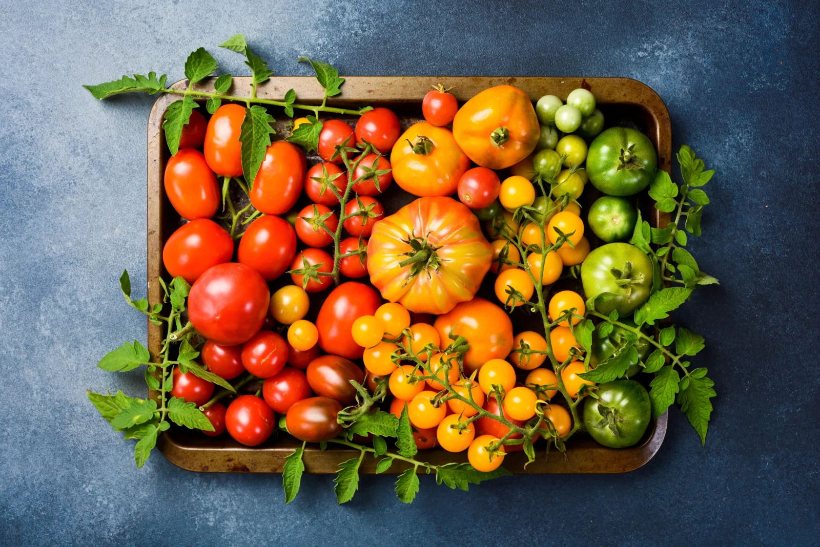 6 Schritte im Frühjahr für eine Rekord-Tomatenernte diesen Sommer!
