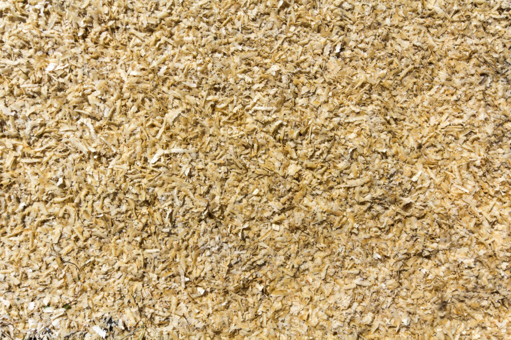 Nahaufnahme von Sägespänen und Holzspänen.