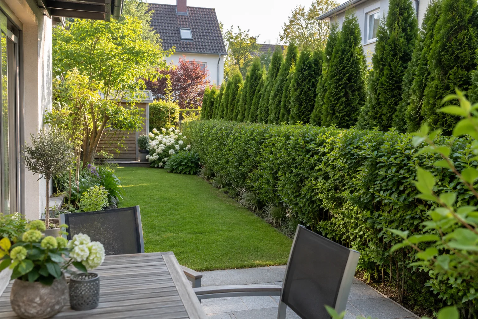 Schmaler Reihenhausgarten mit einer Reihe schlanker Lebensbäume und einer schmal geschnittenen Hainbuchenhecke entlang des Zauns, davor ein Rasenstreifen und eine kleine Terrasse