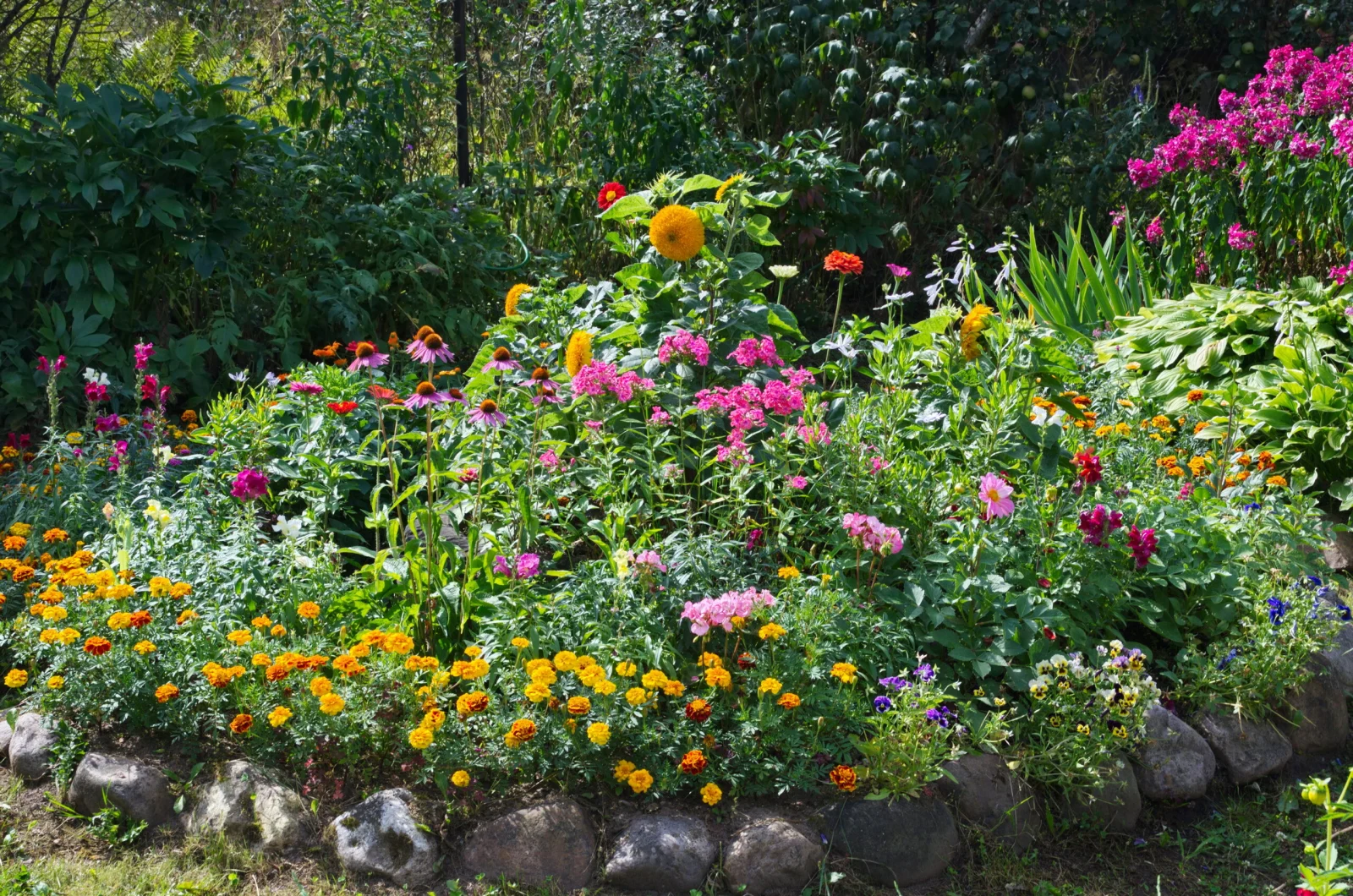 Bunter Garten mit Blumen im Sonnenschein