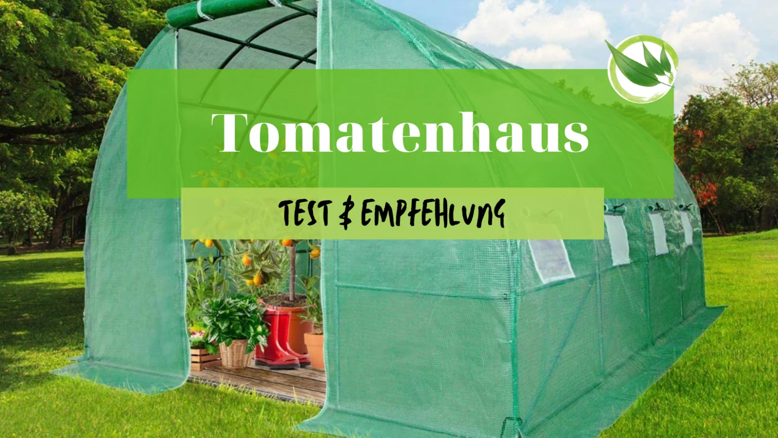 Tomatenhaus Test & Empfehlung: Optimales Mikroklima für perfekte Tomaten