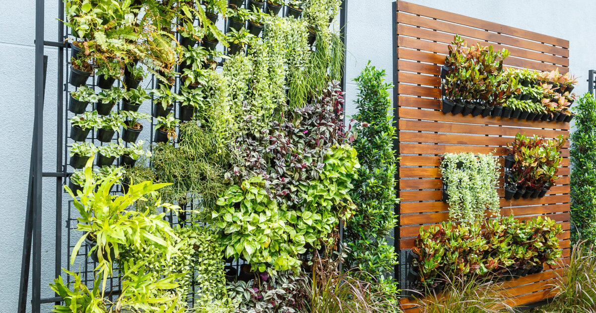Vertical Gardening: Diese 10 Gemüsesorten wachsen in die Höhe