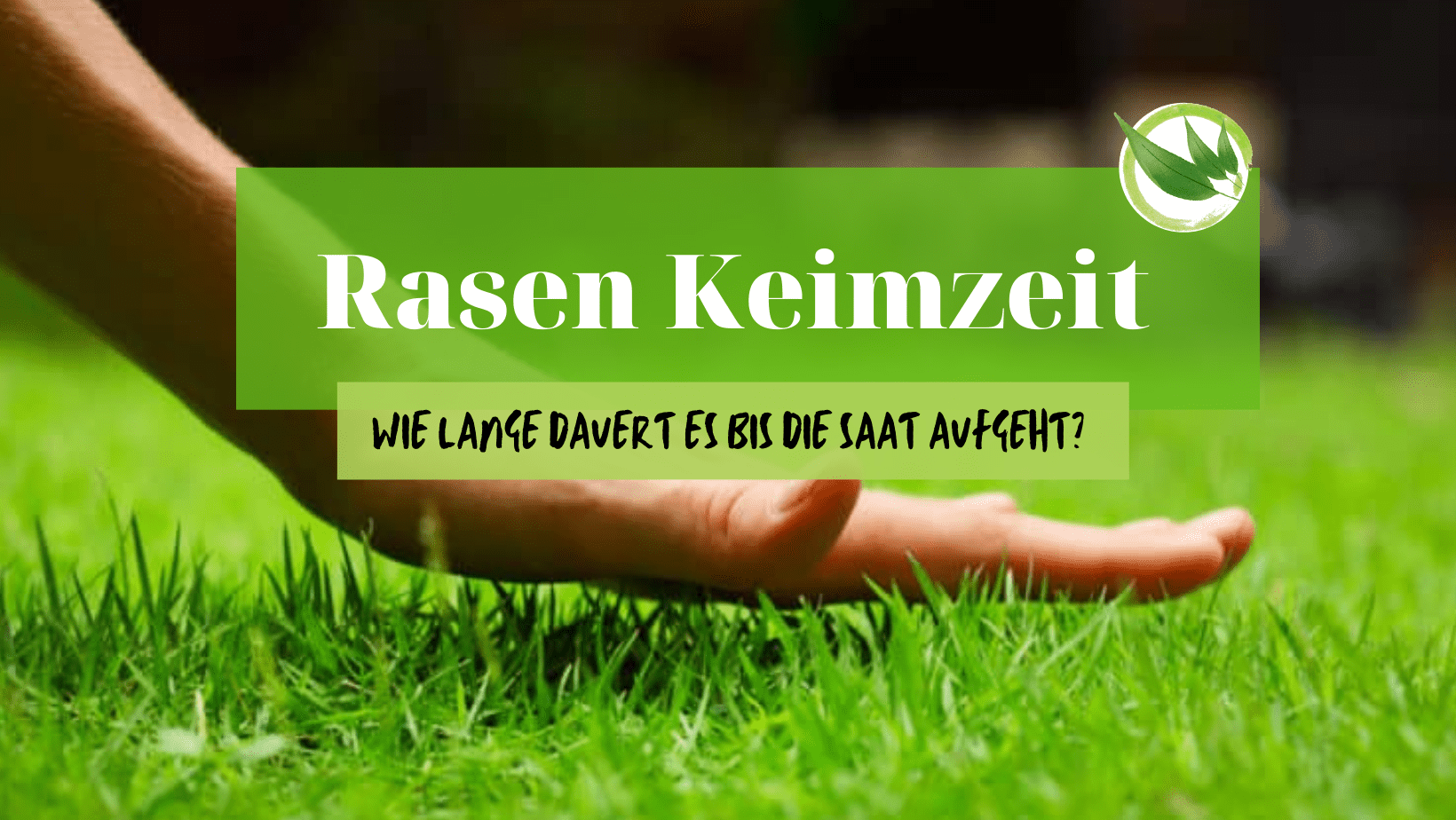 Rasen Keimzeit – wie lange dauert es bis die Saat aufgeht?