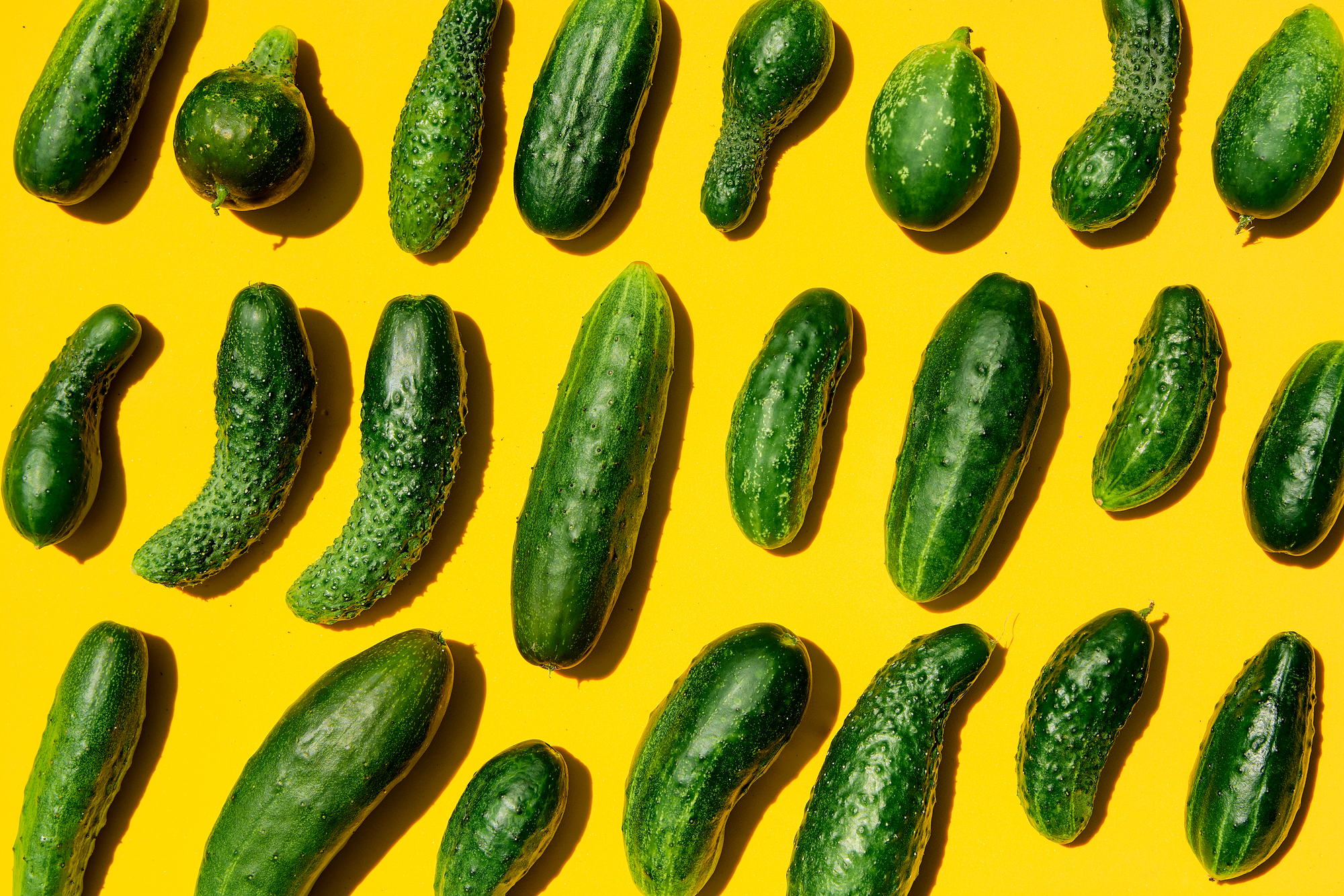 Gurkensorten im Überblick: Finde jetzt die perfekte Gurke für Deinen Garten & Balkon