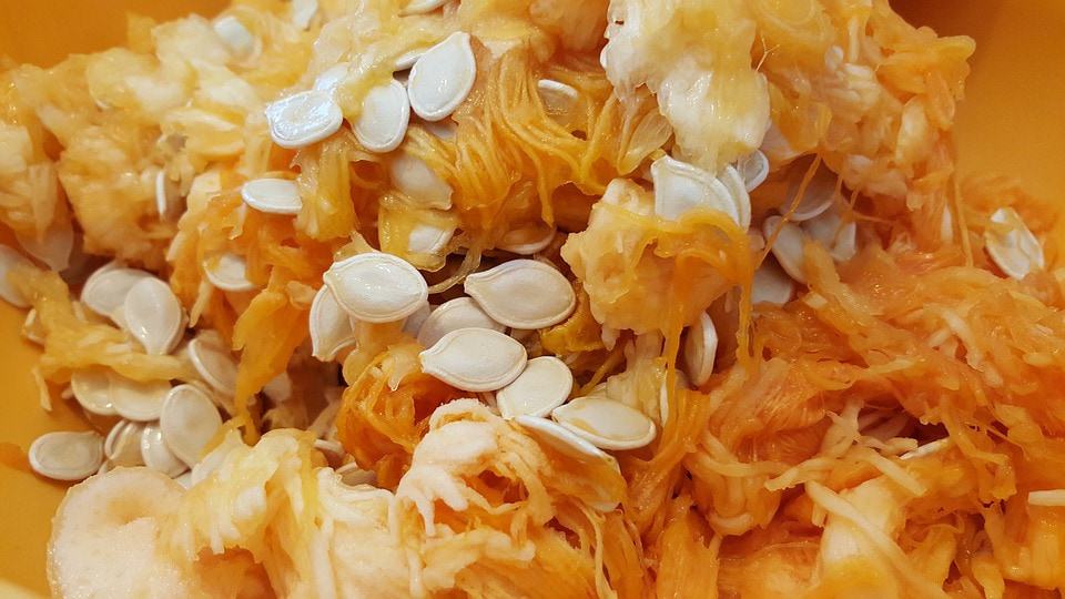 Aus Kürbiskernen eigene Kürbisse ziehen: Die einfachste Anleitung der Welt