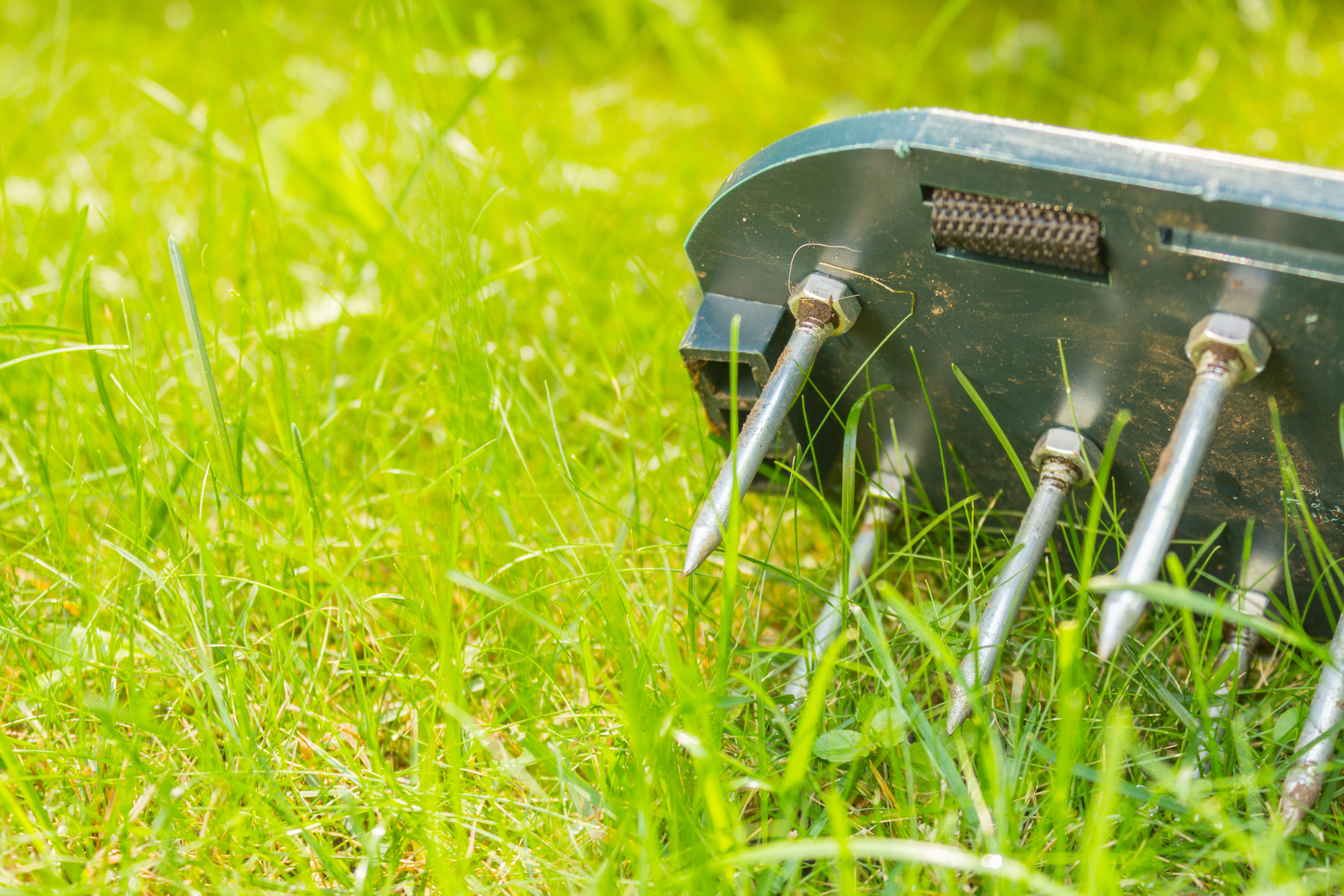 Rasen Aerifizieren & Lüften: Deshalb solltest Du jetzt Deinen Rasen belüften