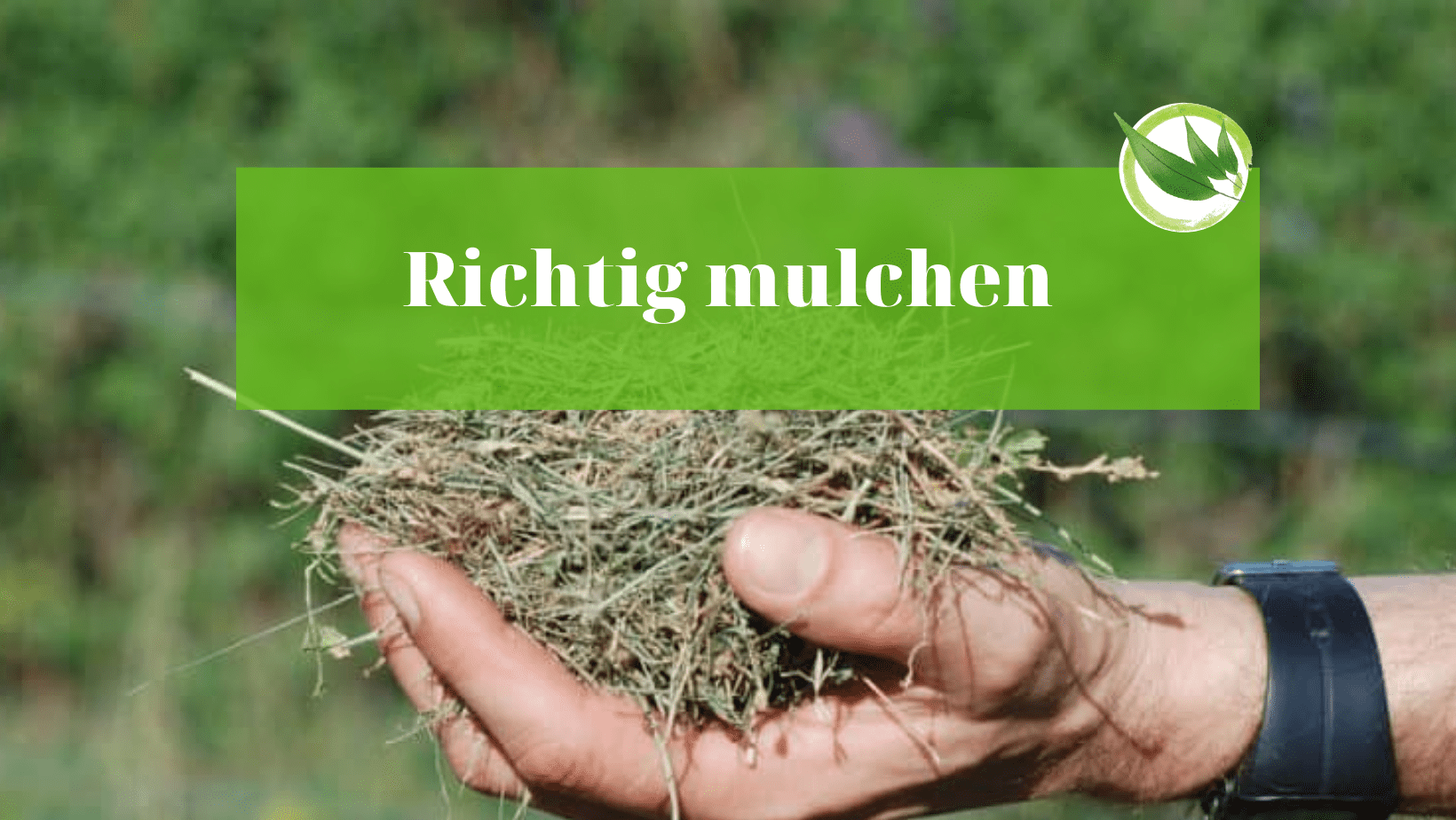 Was ist Mulchen & wie es richtig funktioniert