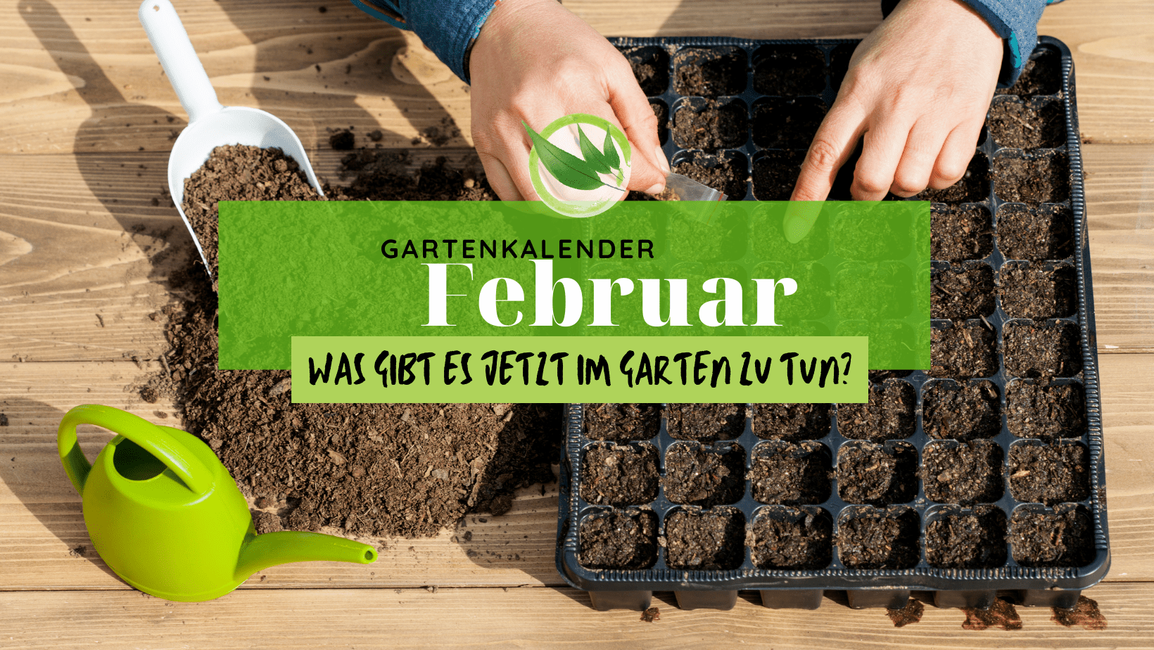 Garten im Februar: Das kannst Du jetzt säen & diese Gartenarbeiten fallen an