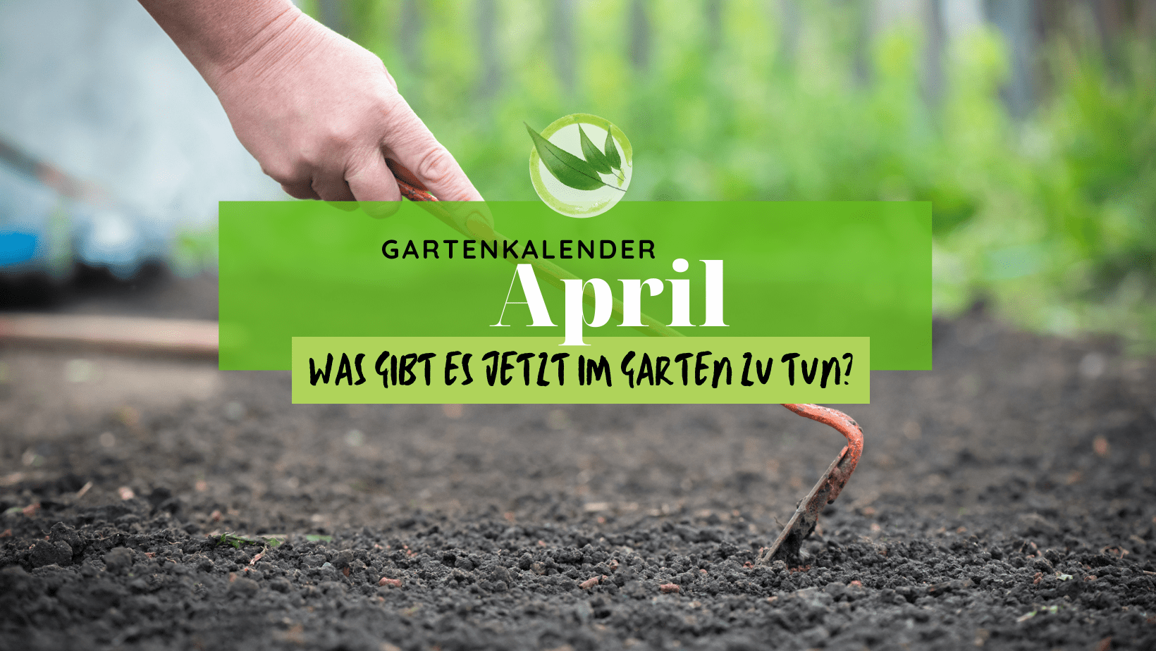 Gartenkalender April – was gibt es jetzt im Garten zu tun?