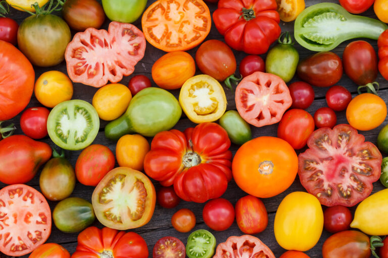 Viele verschiedene Tomatensorten