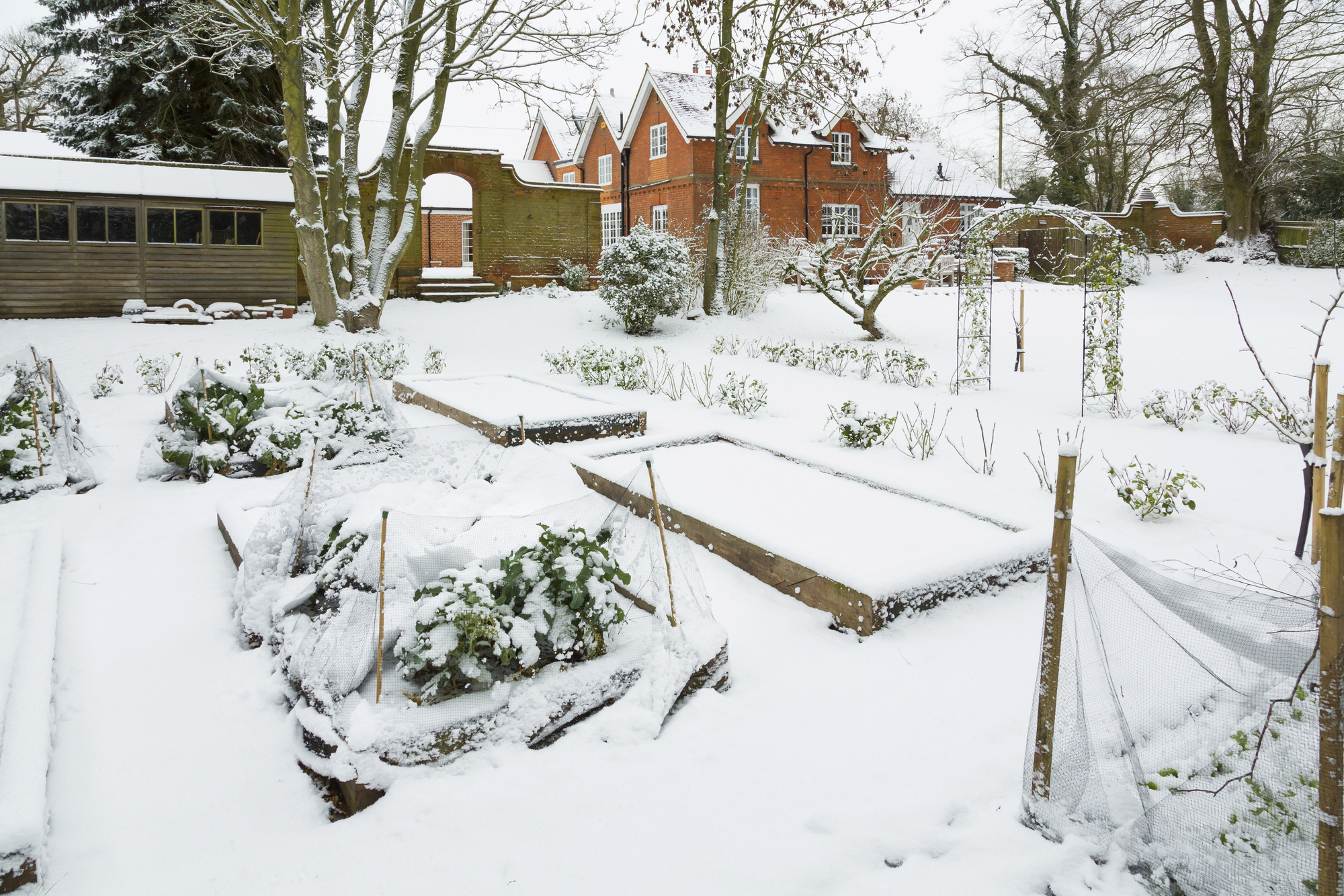 9 Gartenarbeiten im Januar: So startest du perfekt ins neue Gartenjahr