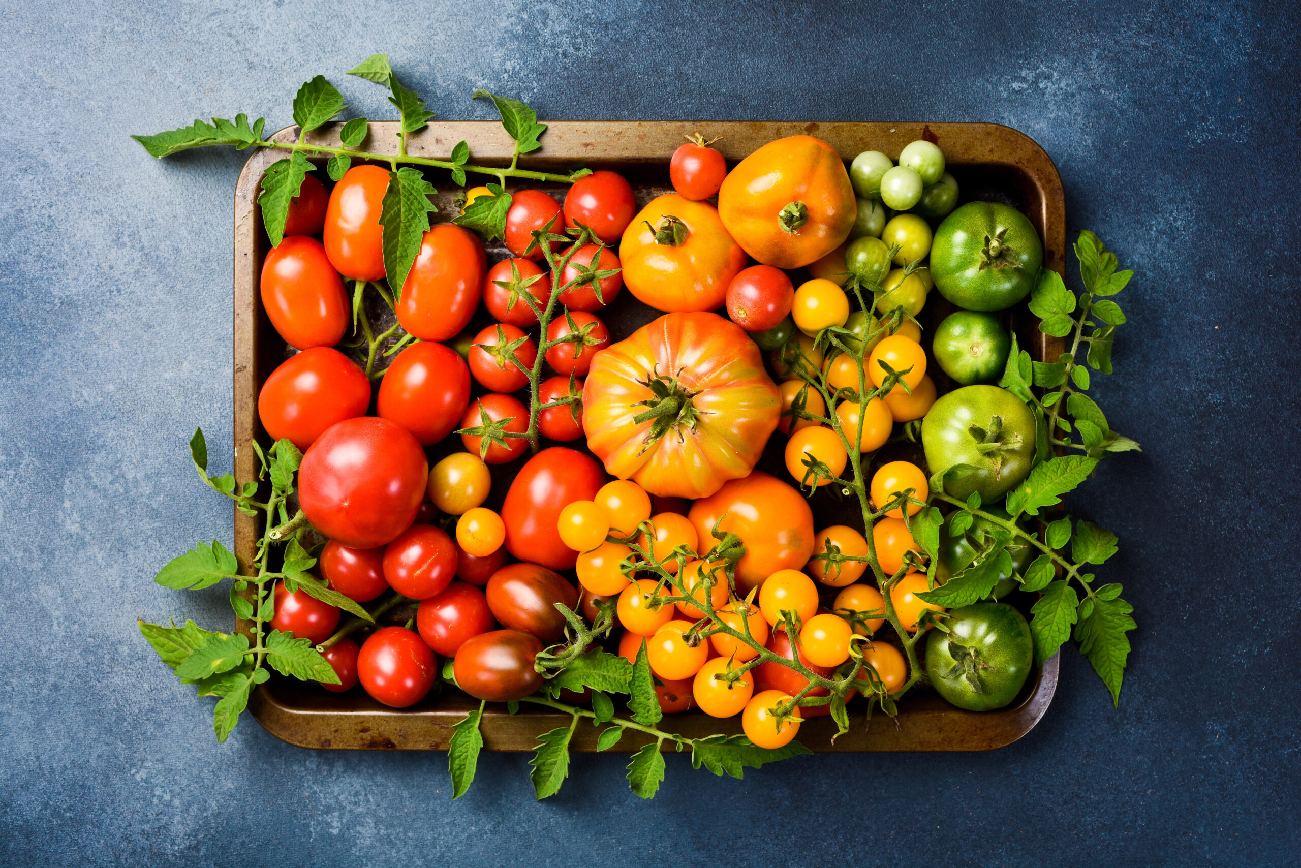 6 Schritte im Frühjahr für eine Rekord-Tomatenernte diesen Sommer!