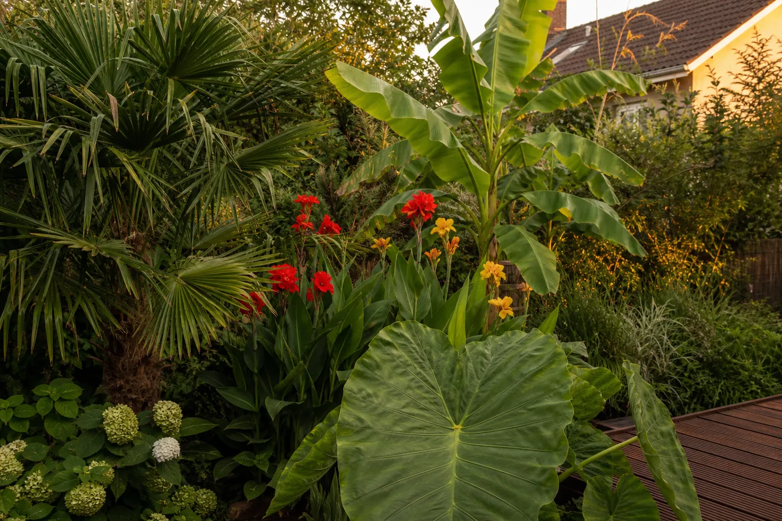 Tropisches Flair im deutschen Garten: 8 winterharte Exoten und wie du sie durch den Winter bringst