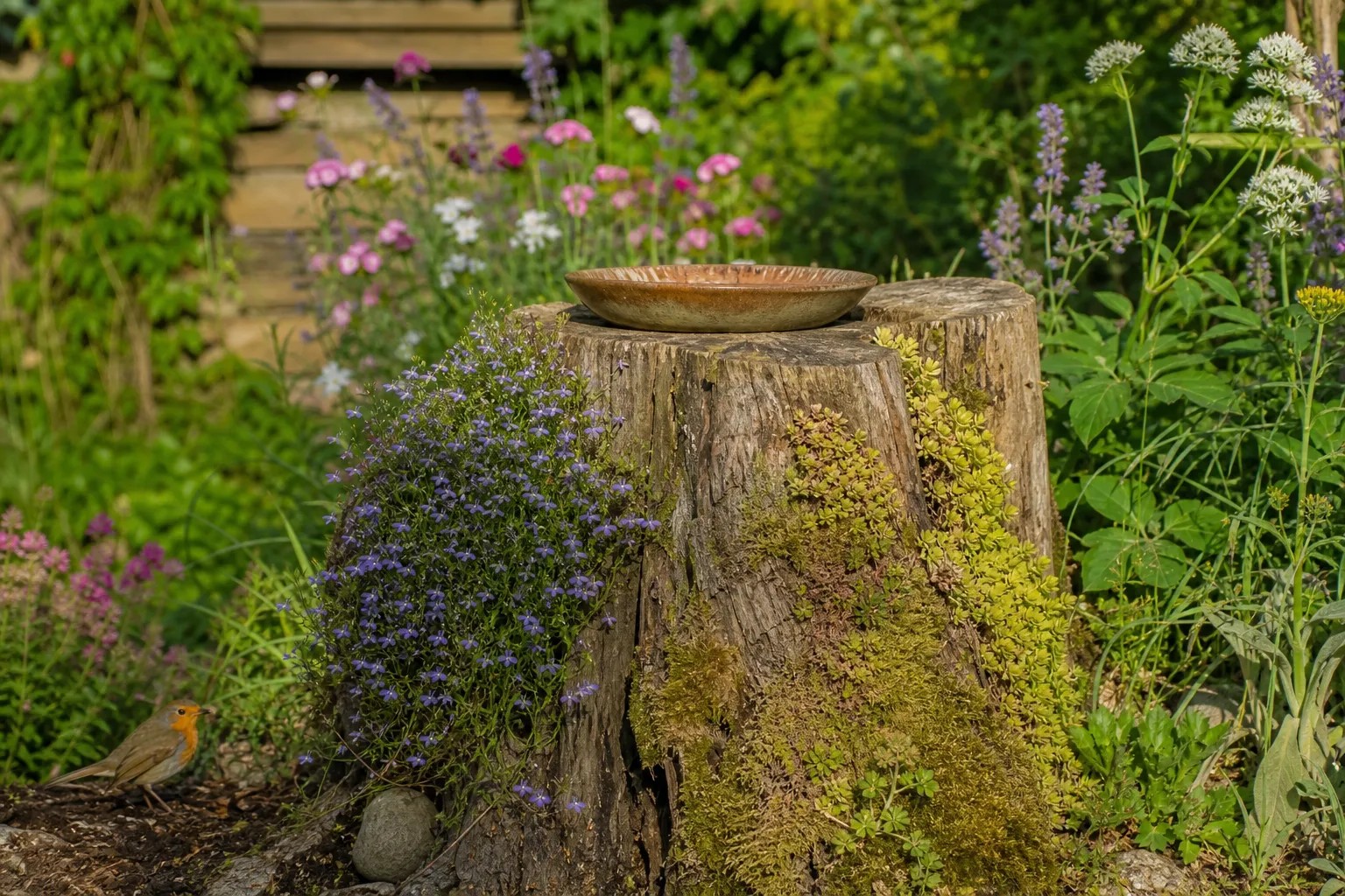 Baumstumpf im Garten kreativ nutzen: 10 Ideen von Totholz-Hotspot bis Wichtelhaus