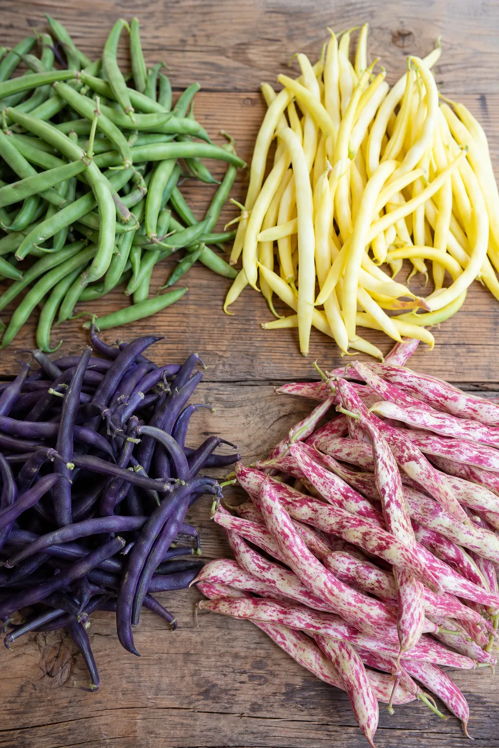 Frisch geerntete Bohnenhülsen nach Sorten sortiert auf einem Holztisch: grüne, gelbe, violette und gesprenkelte Hülsen.