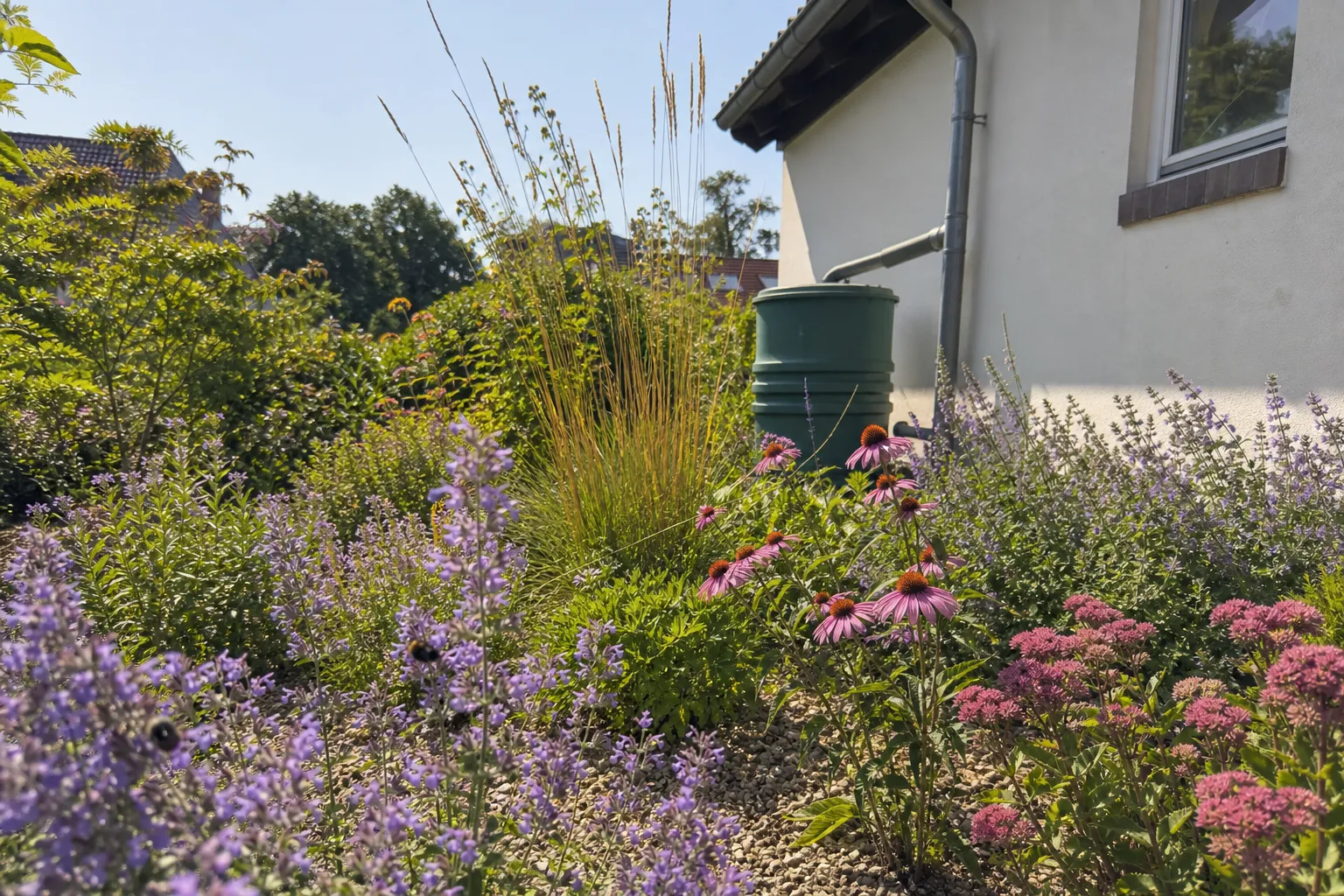 Wasser sparen im Garten: 8 Stellschrauben für den trockenen Sommer